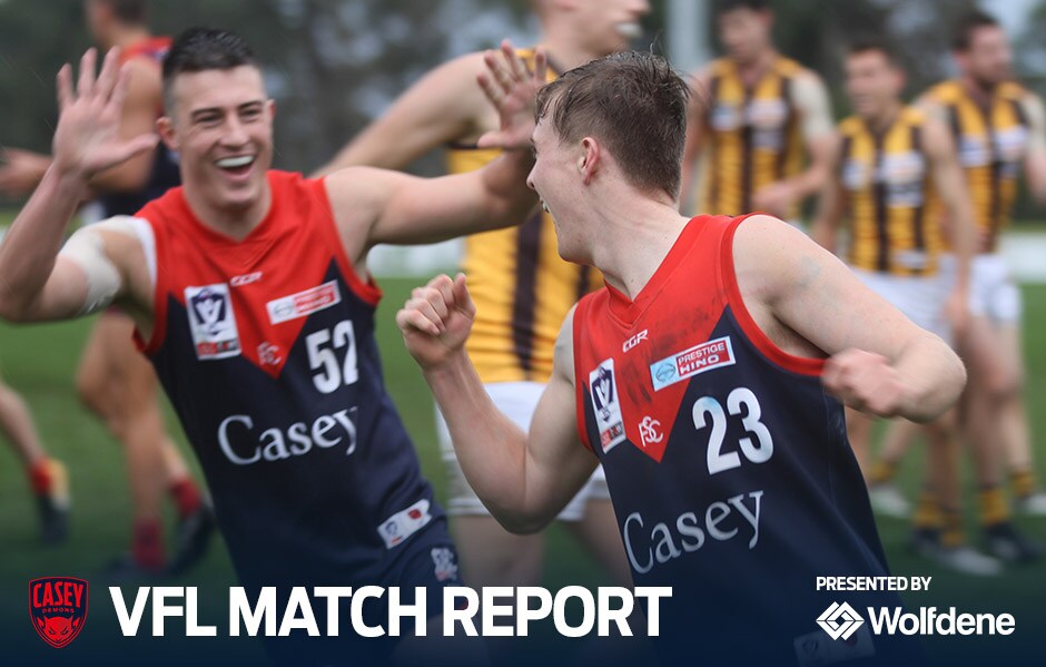 190629_VFL_MatchReport.jpg